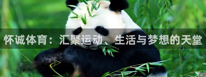 3377体育官网下载招商电话:怀诚体育:汇聚运动、生活与梦想