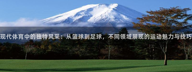 3377体育官网下载开户:现代体育中的独特风采:从篮球到足球